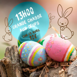 Chasse aux Oeufs - 13h00