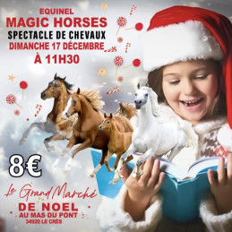 Magic Horses - Spectacle de...