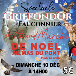 Griffondor - Spectacle...