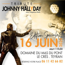 Concert Johnny Hallyday -...
