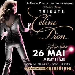 Concert Céline Dion - Carré...