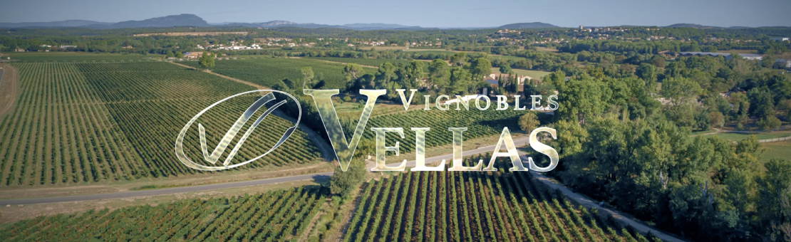 Vignobles Vellas